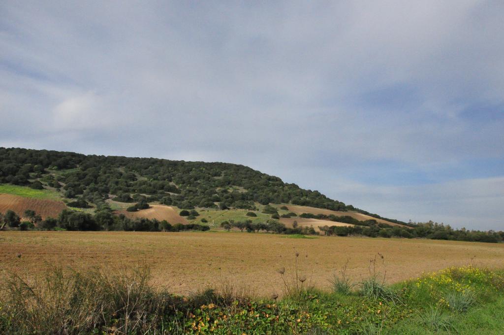 Agriturismo Sa Scalitta Carbonia Eksteriør billede